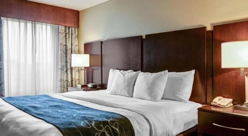 Bed in Comfort Suites near Hot Springs Park