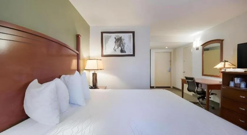 Bed in SureStay Plus by Best Western Lawton