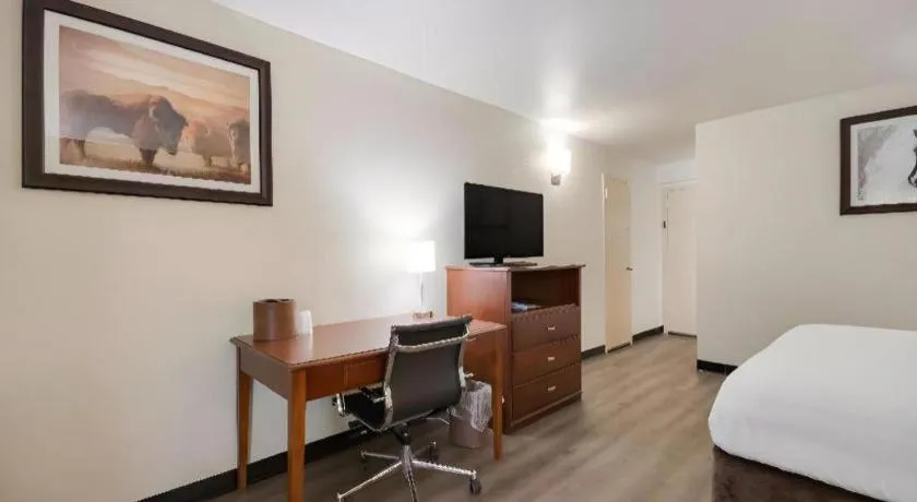 Bed in SureStay Plus by Best Western Lawton