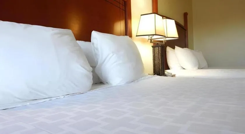 Bed in SureStay Plus by Best Western Lawton