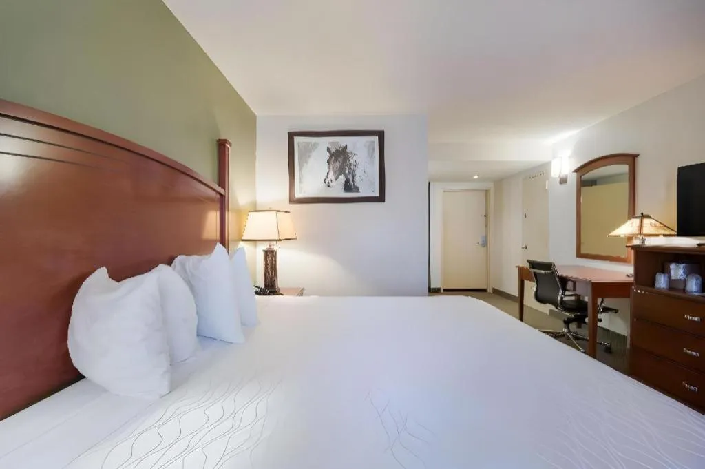 Bed in SureStay Plus by Best Western Lawton