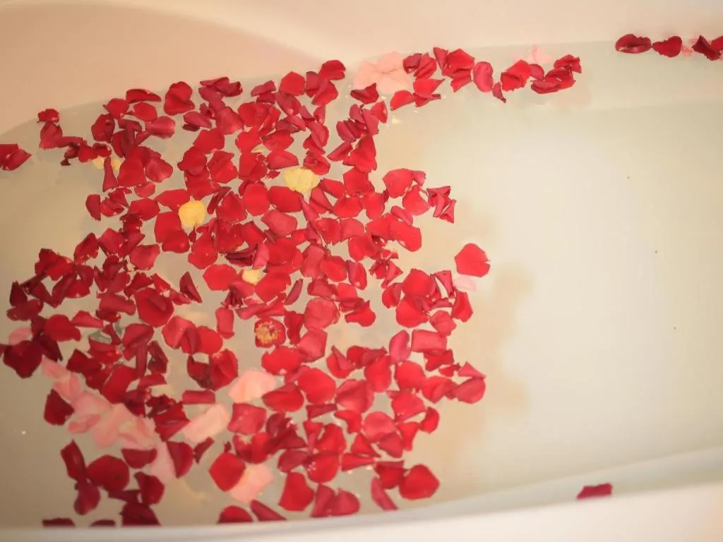 Sophia Hotel Nha Trang