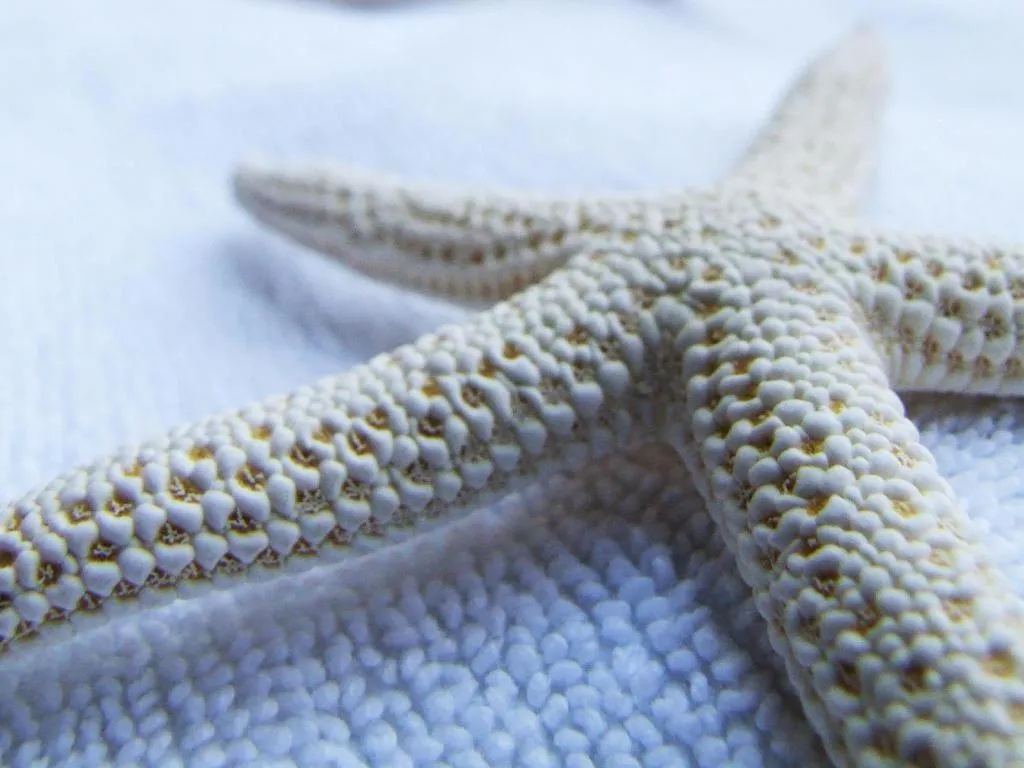 Sarita Chalet and Spa Hotel