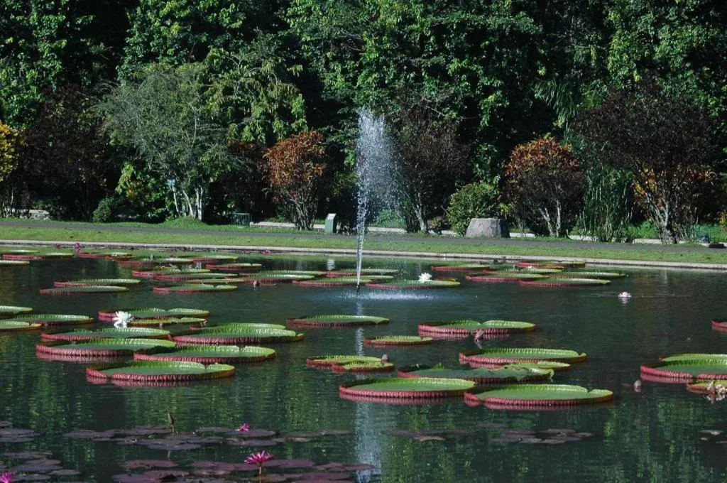 Bogor Valley Hotel