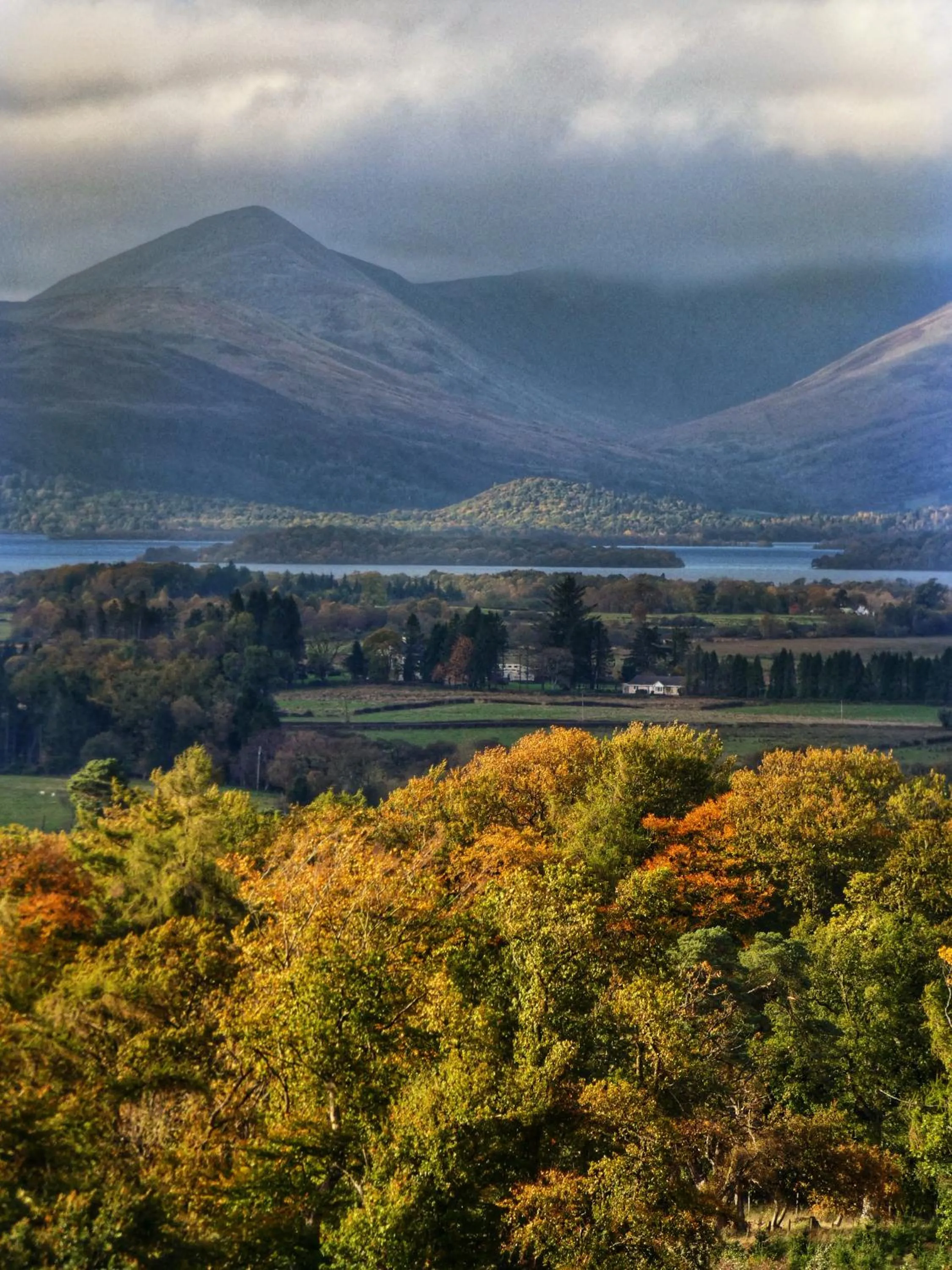 Natural landscape in Loch Lomond Finnich Cottages