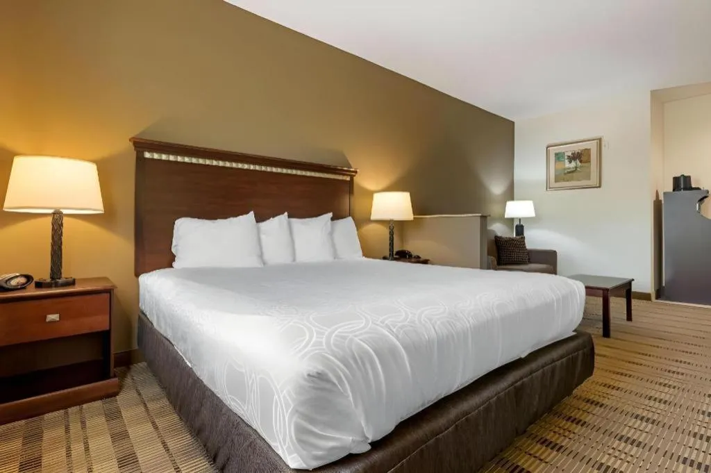 Bed in Best Western La Grange Inn & Suites