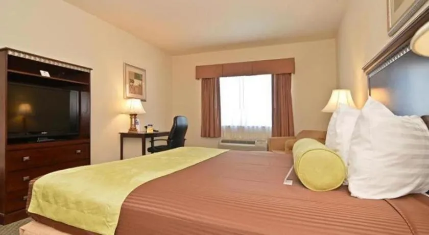 Bed in Best Western La Grange Inn & Suites