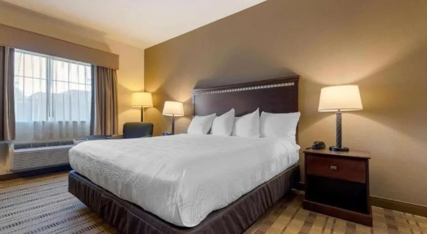 Bed in Best Western La Grange Inn & Suites