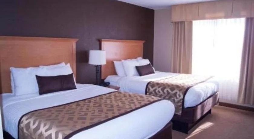 Best Western Locust Grove Inn & Suites