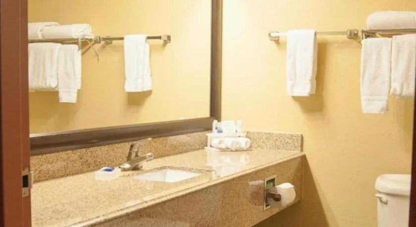 Best Western Locust Grove Inn & Suites