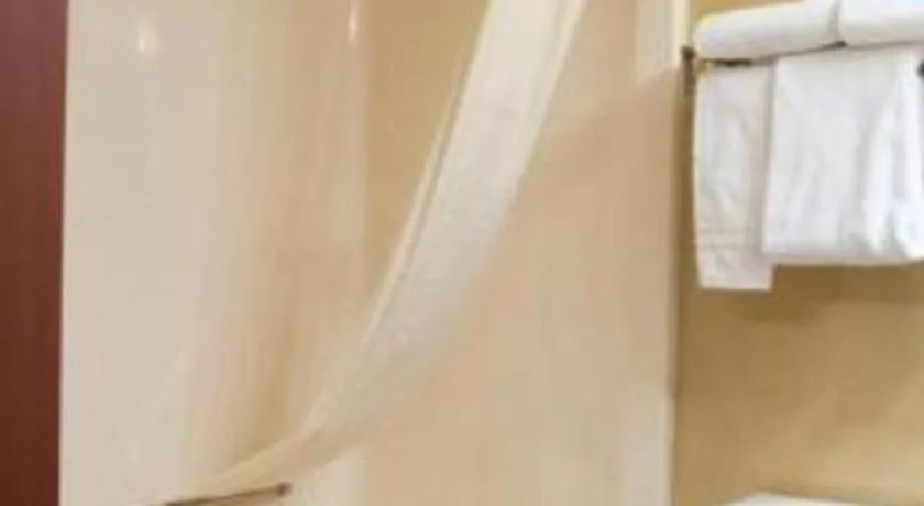 Best Western Locust Grove Inn & Suites