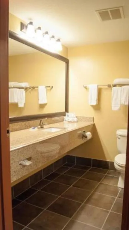 Best Western Locust Grove Inn & Suites