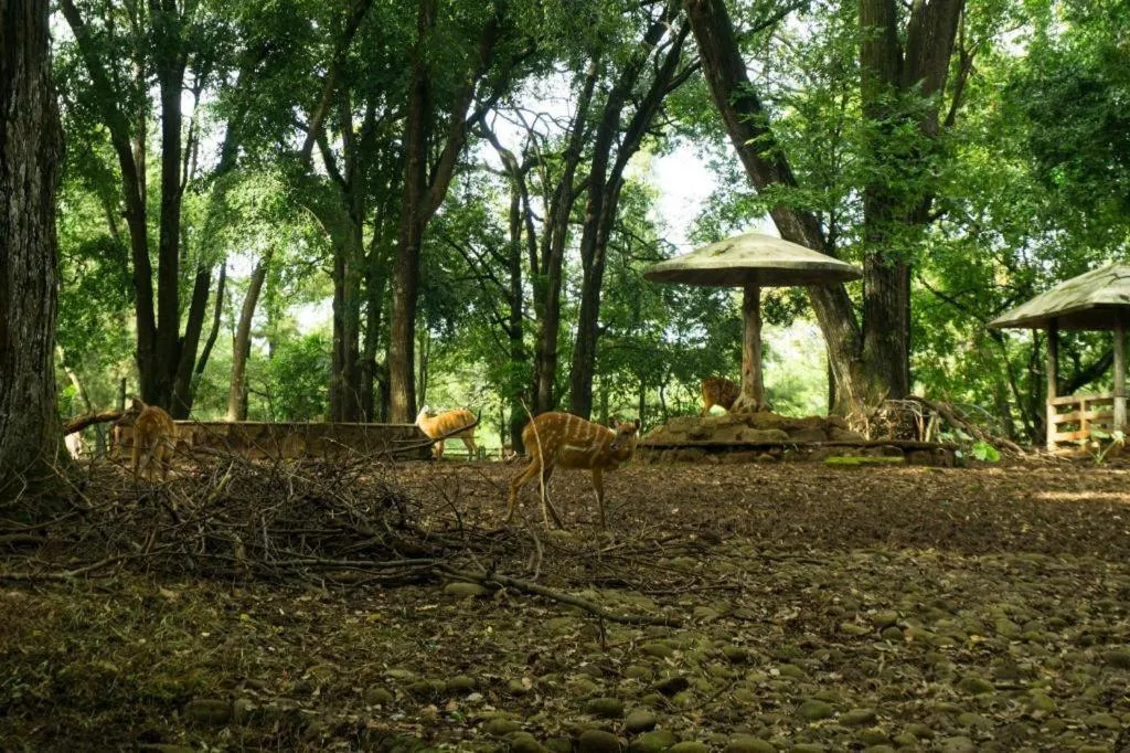 Arimbi Pejaten Suites