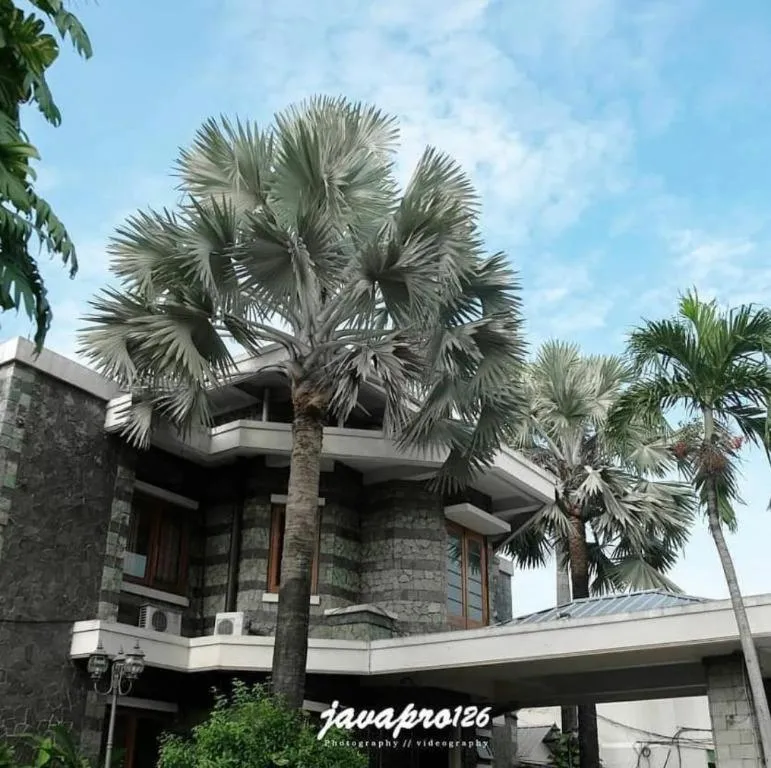 Arimbi Pejaten Suites