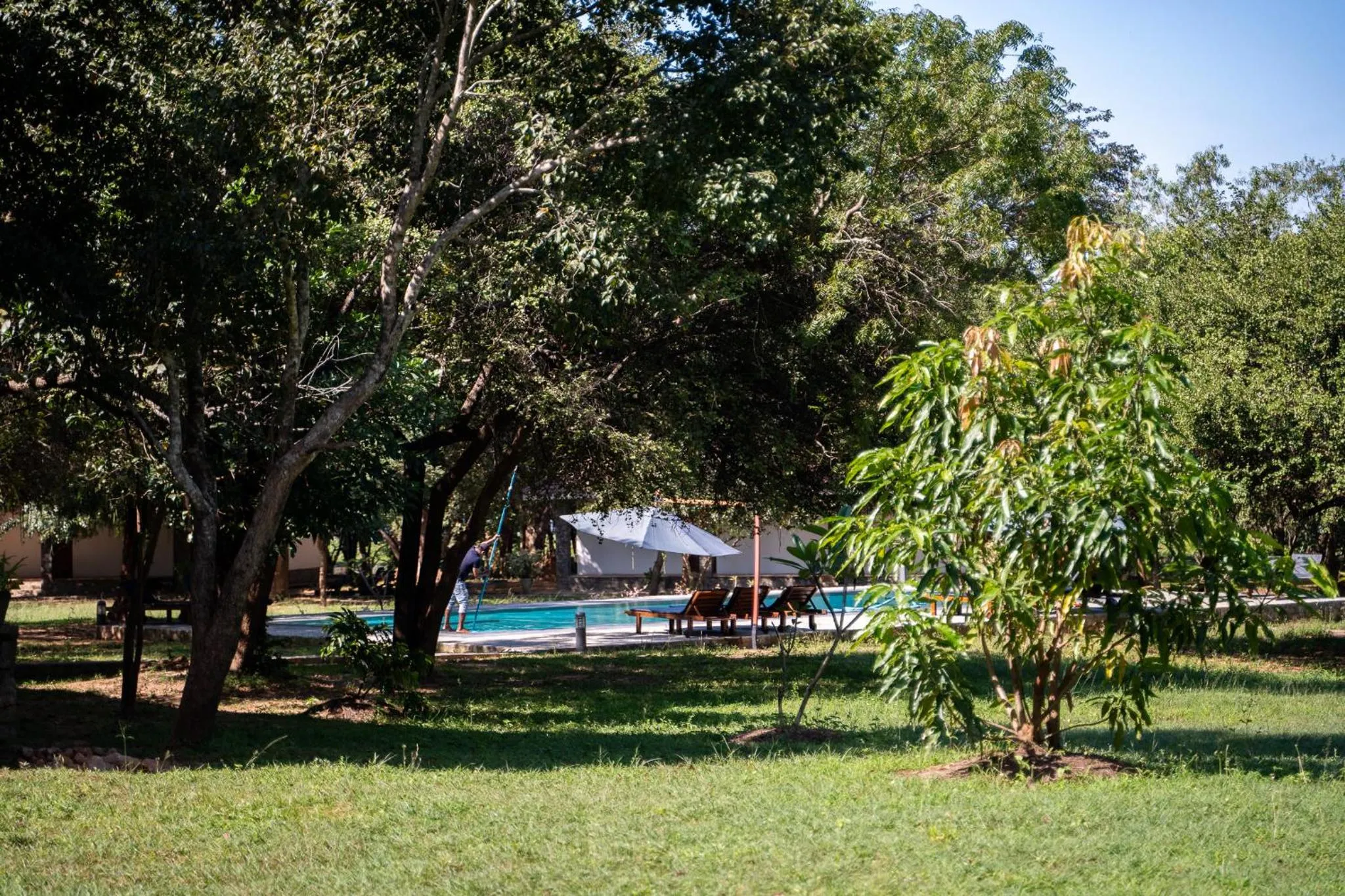 Garden in Pothana Village