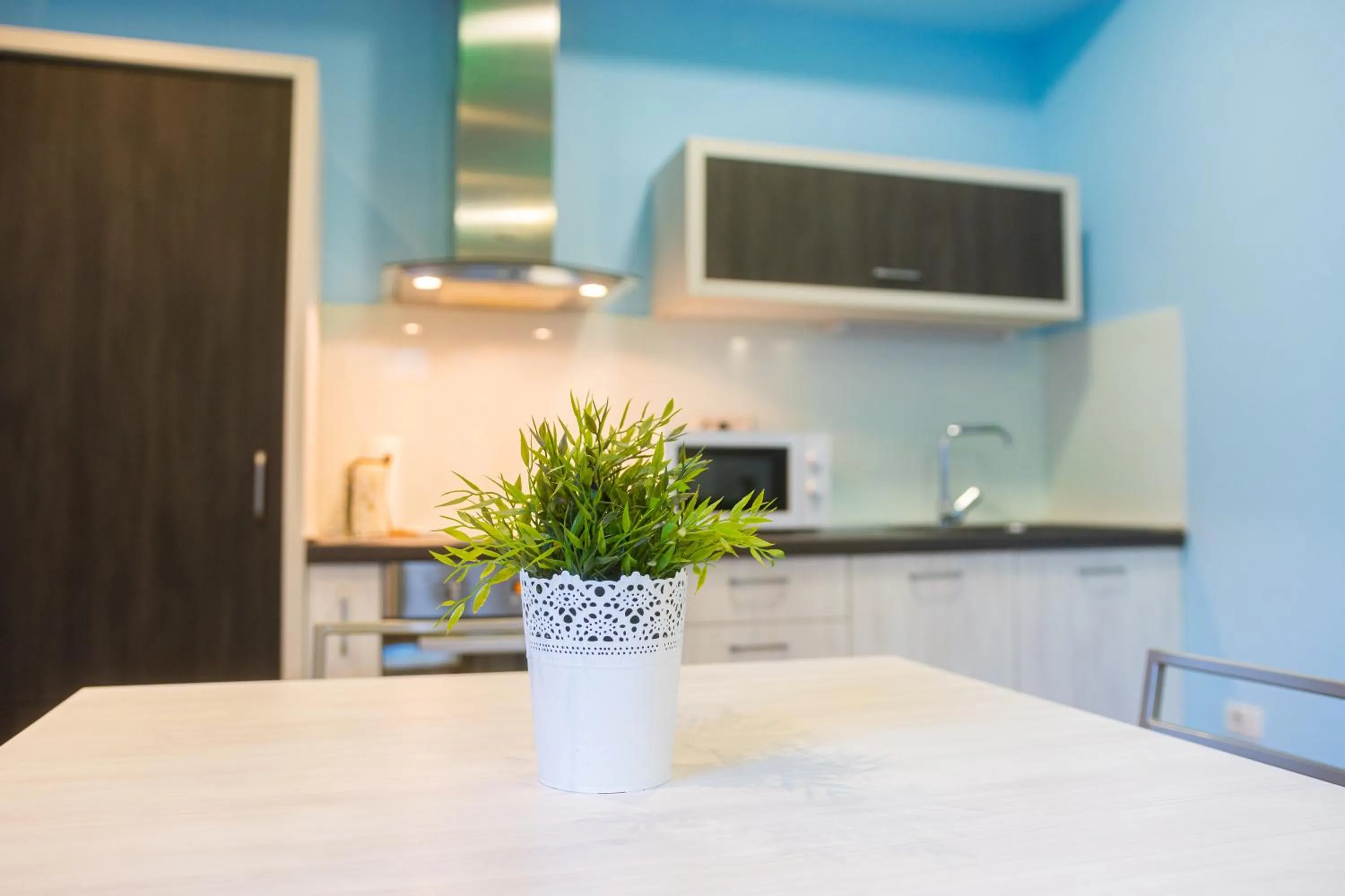 Kitchen or kitchenette in Joan Apartments & Spa