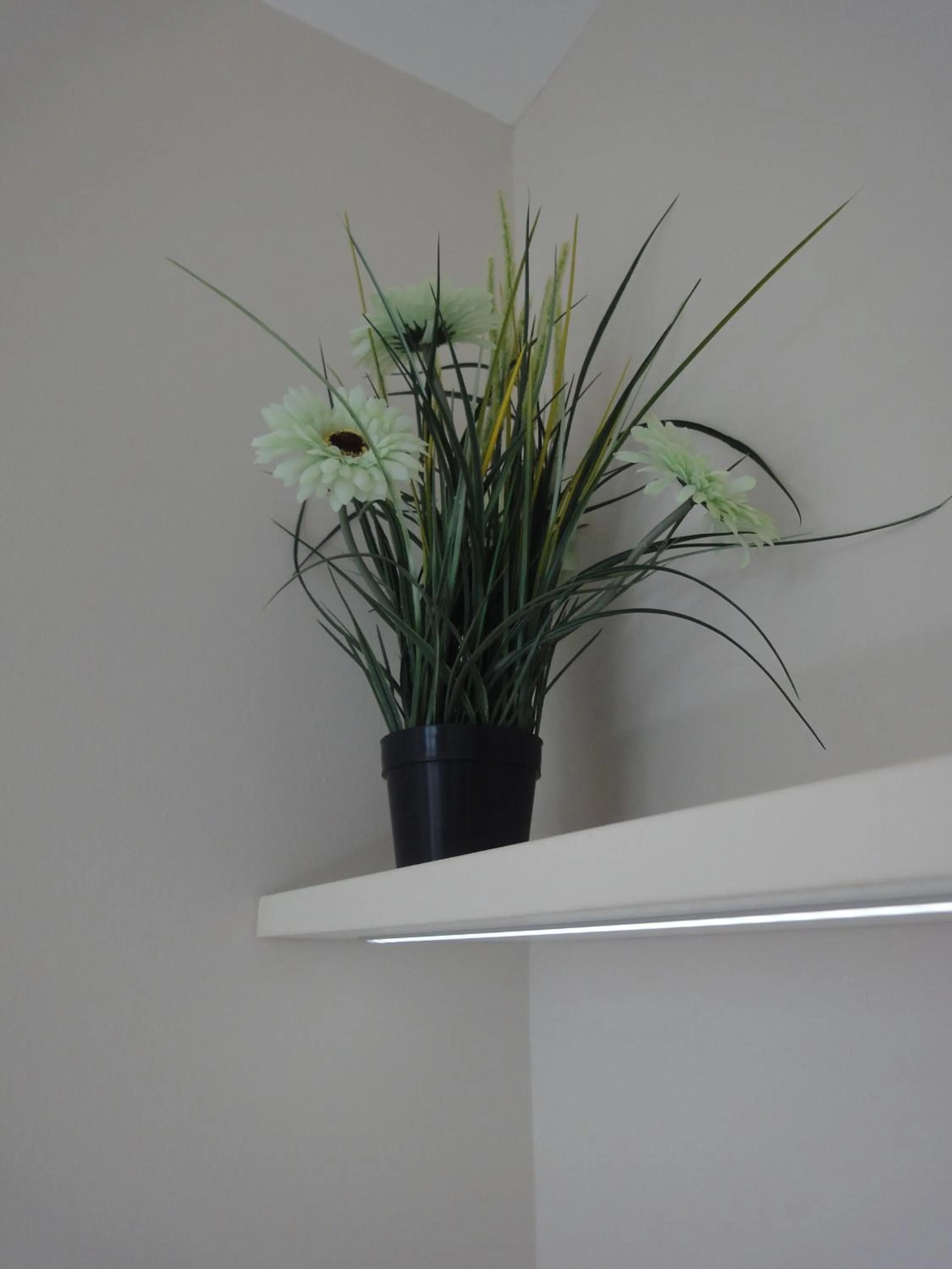 Decorative detail in Joan Apartments & Spa