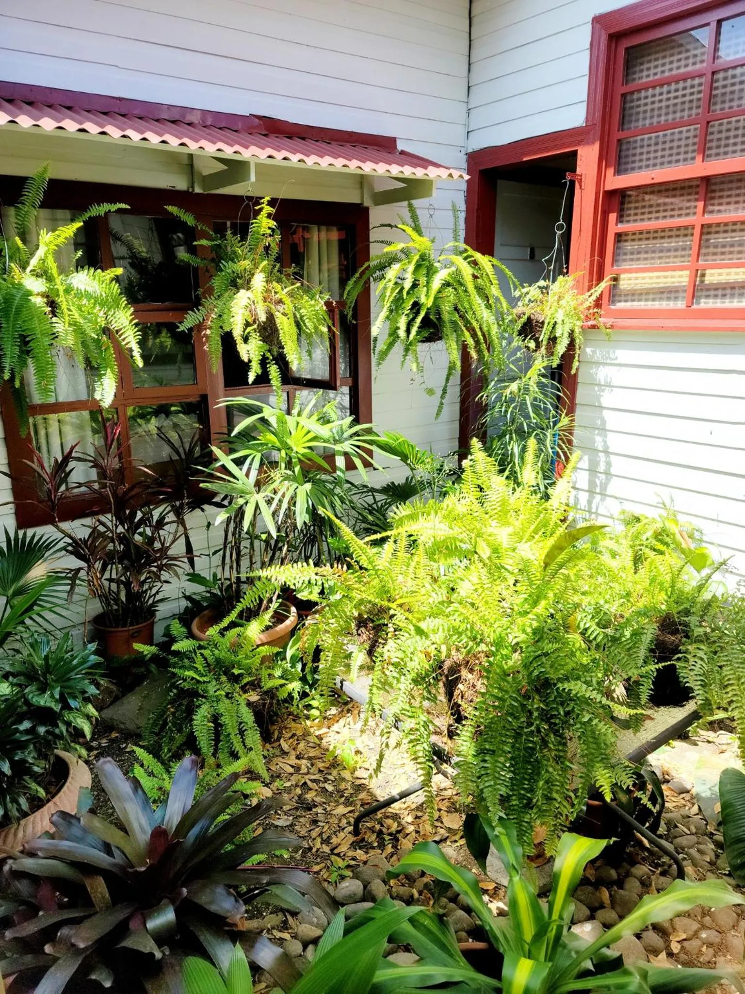 Garden in Hotel Aranjuez