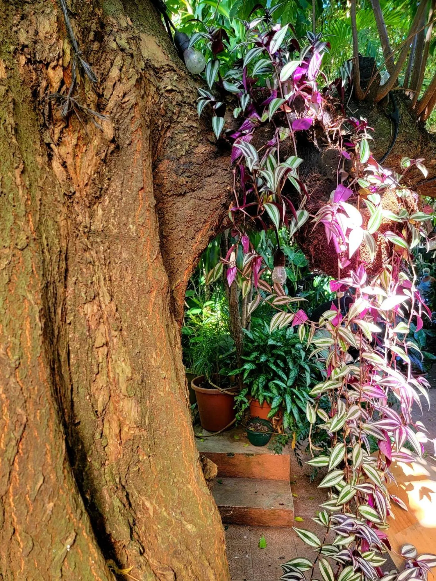 Day in Hotel Aranjuez