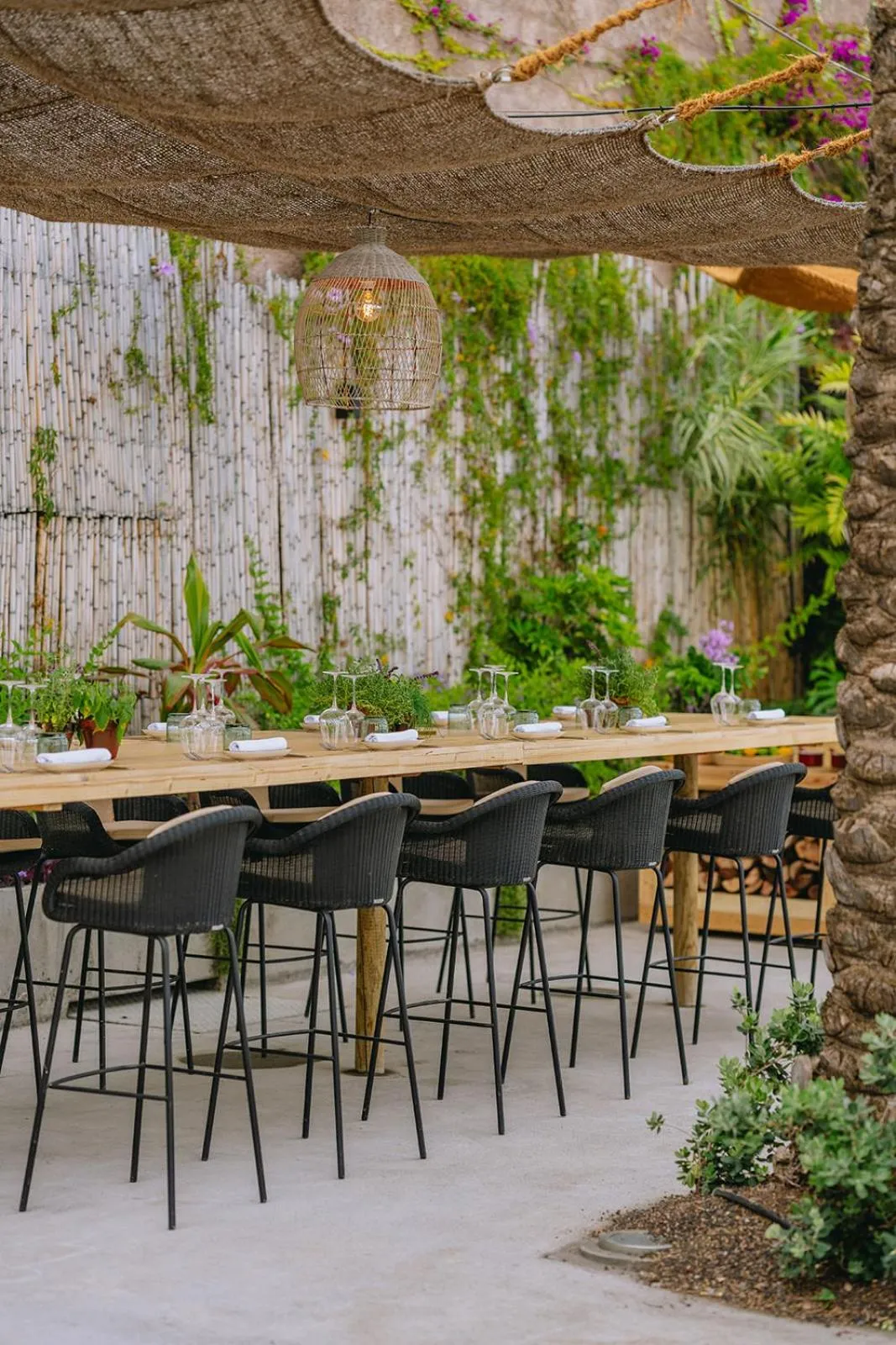 Restaurant/places to eat in Saccharum - Resort and Spa - Savoy Signature