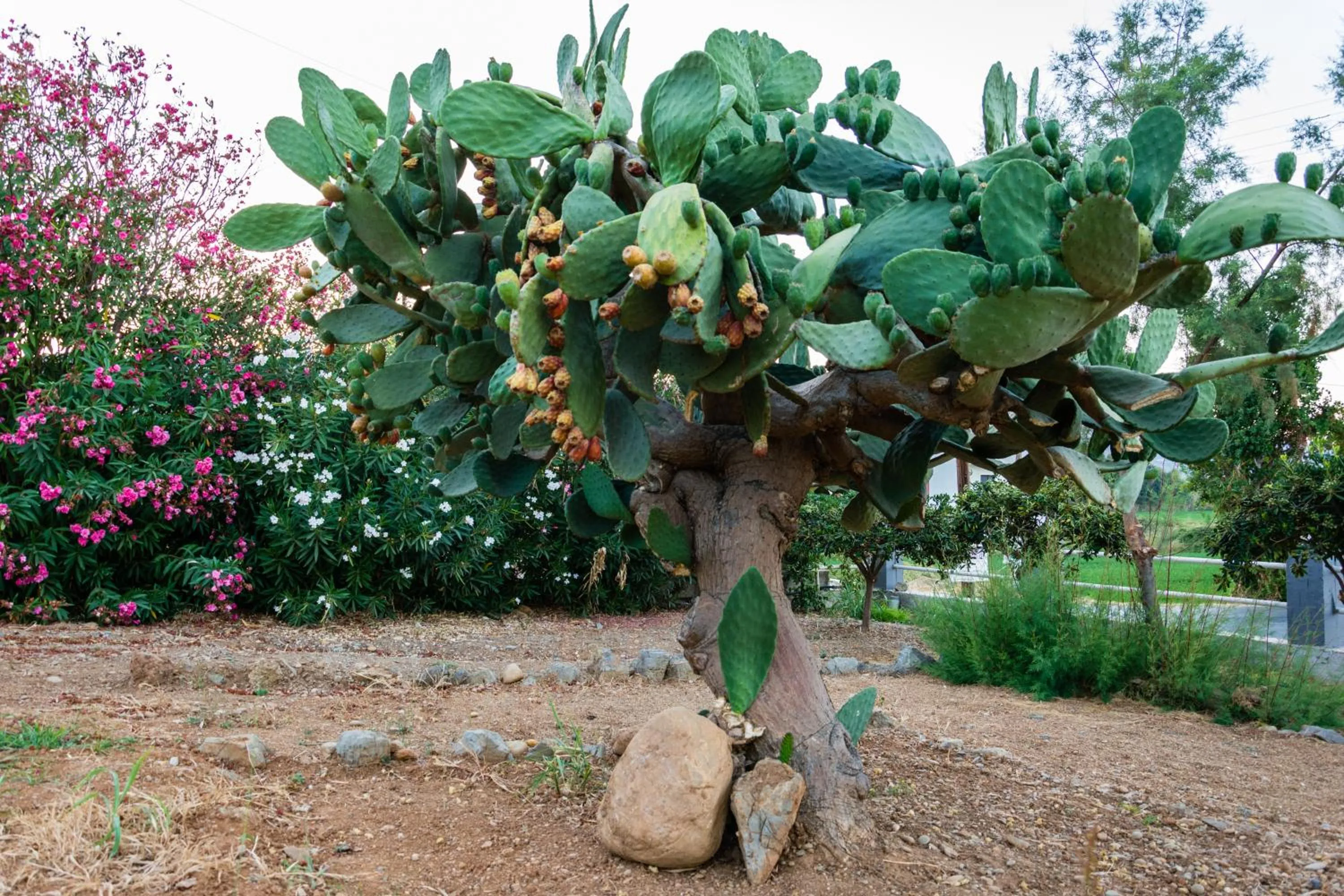 Day in Nereides Hotel