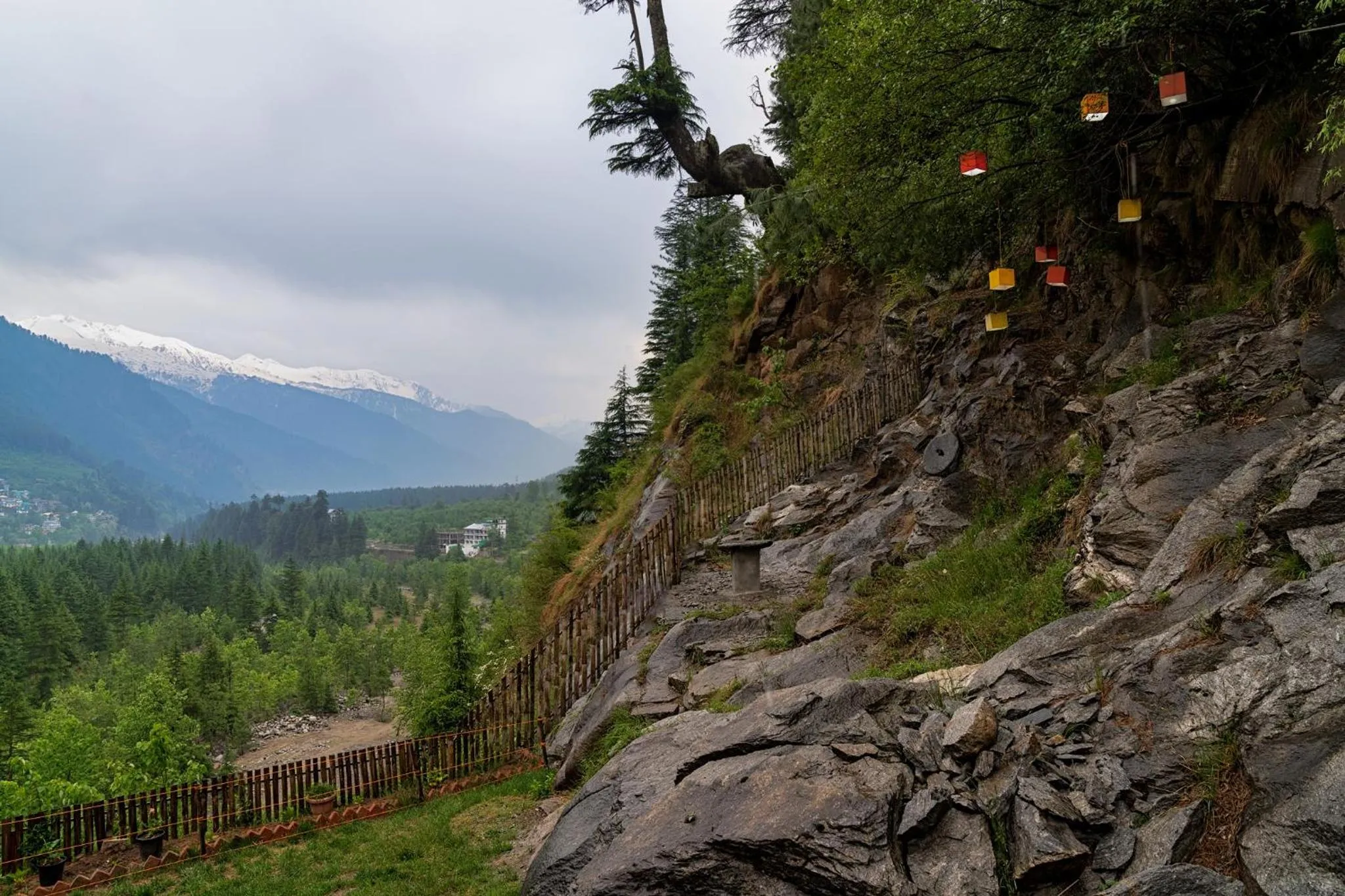 The Pine Chalet Manali