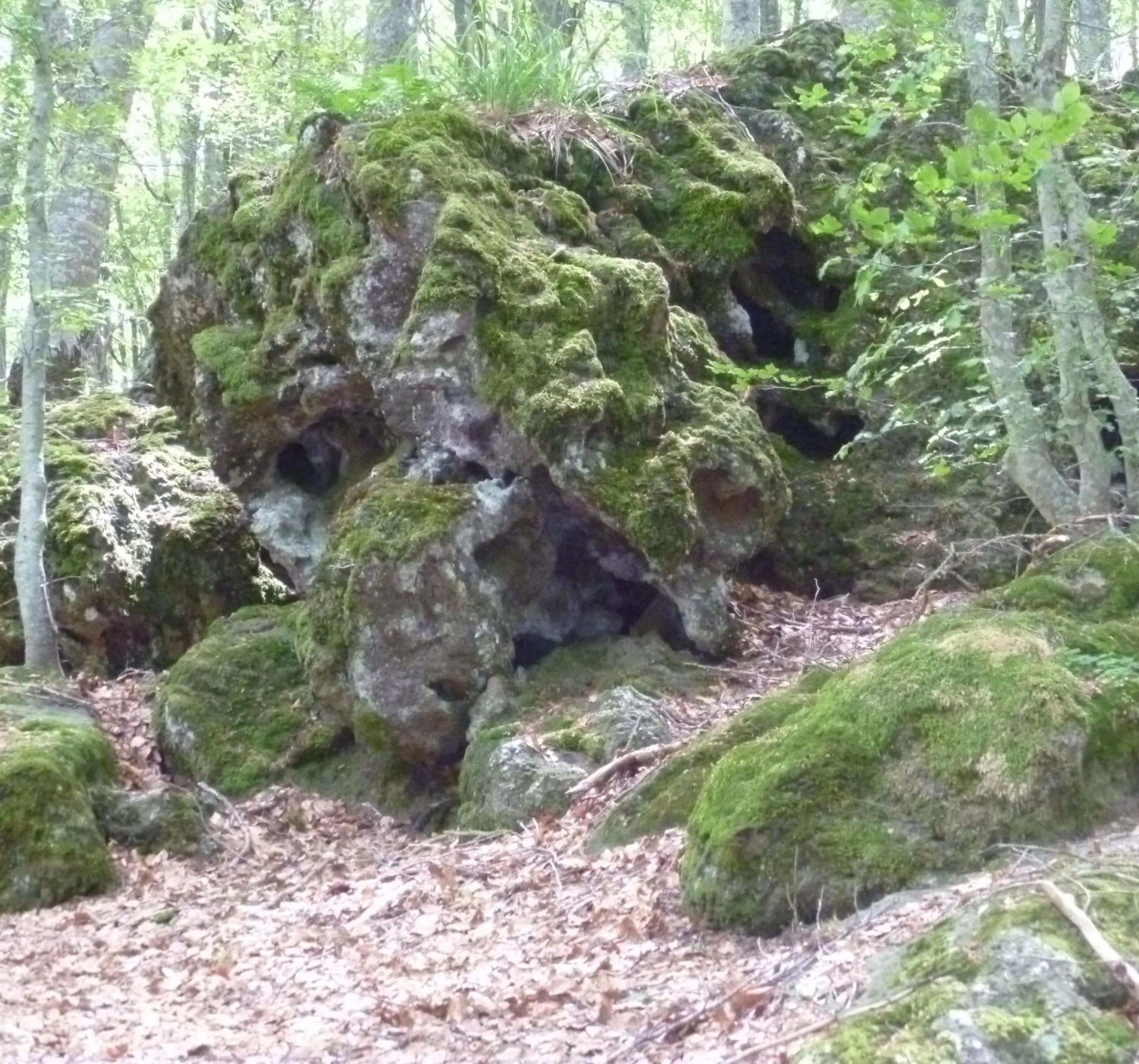 Activities in Albergo Generale Cantore - Monte Amiata