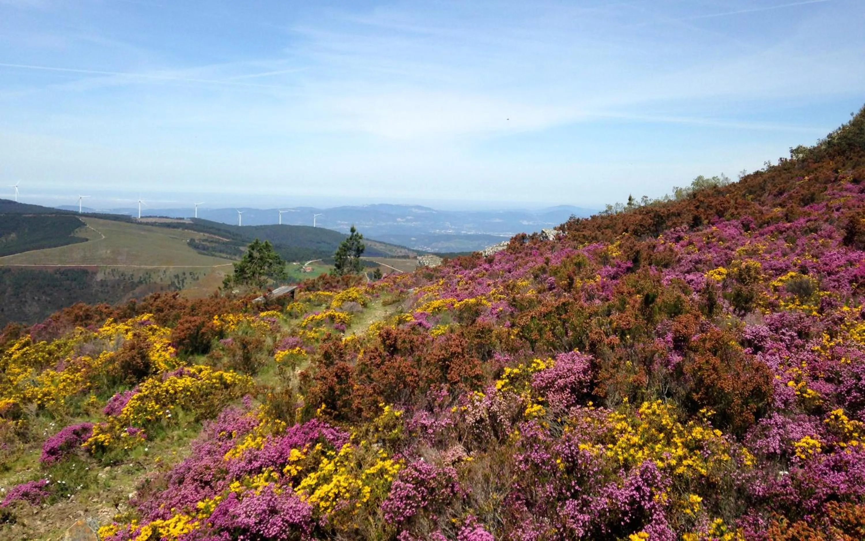 Nearby landmark in Casa Carvalhal - Adults Only