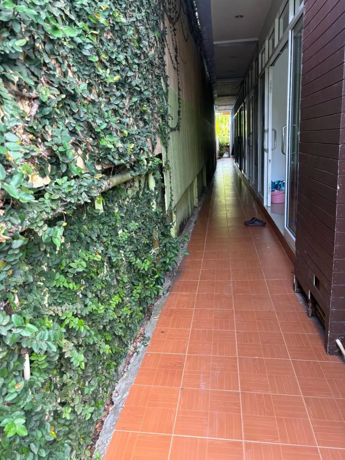 Facade/entrance in Hotel Rung Phangan