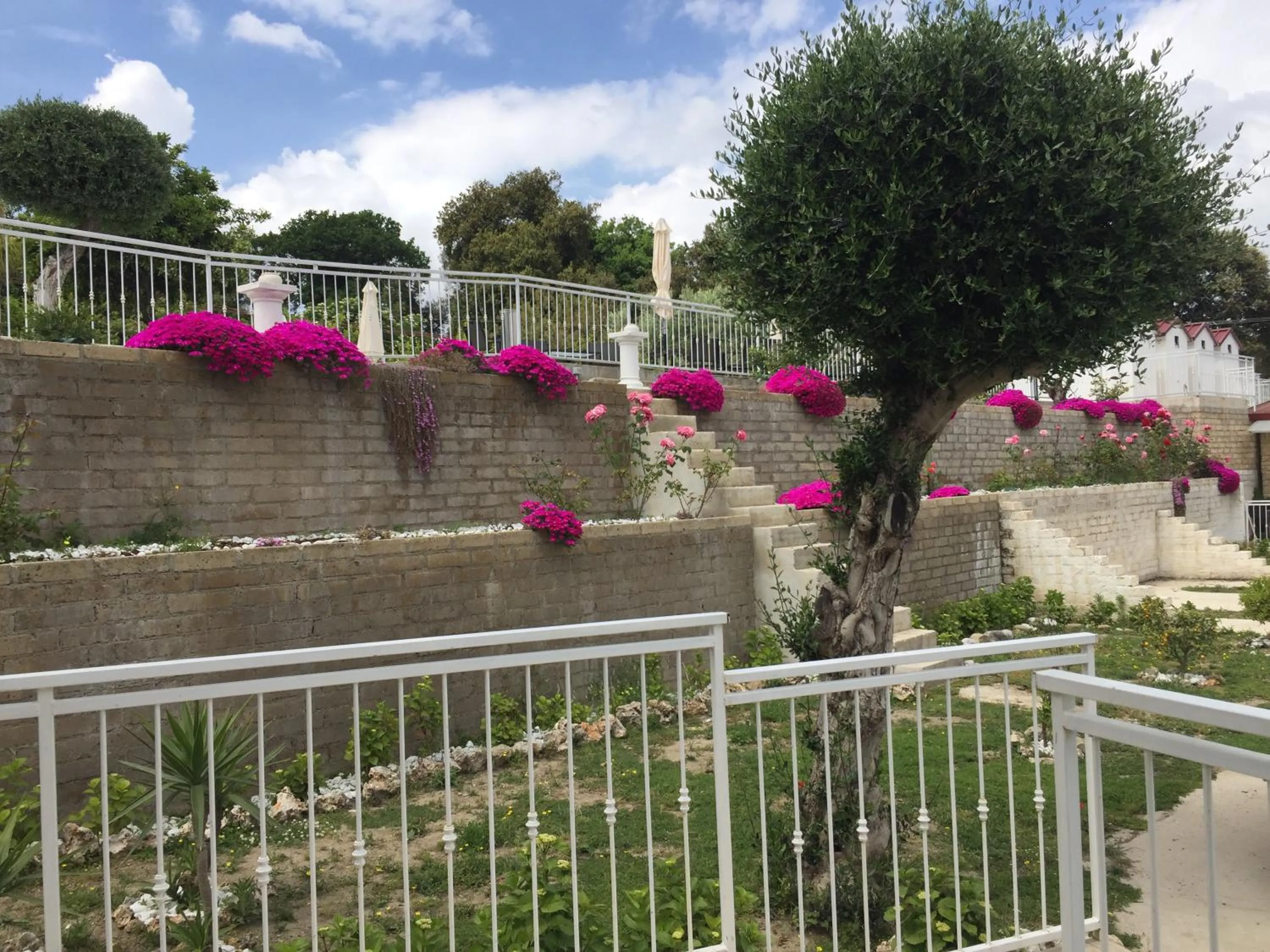 Garden view in Zia Bi Bed and Breakfast