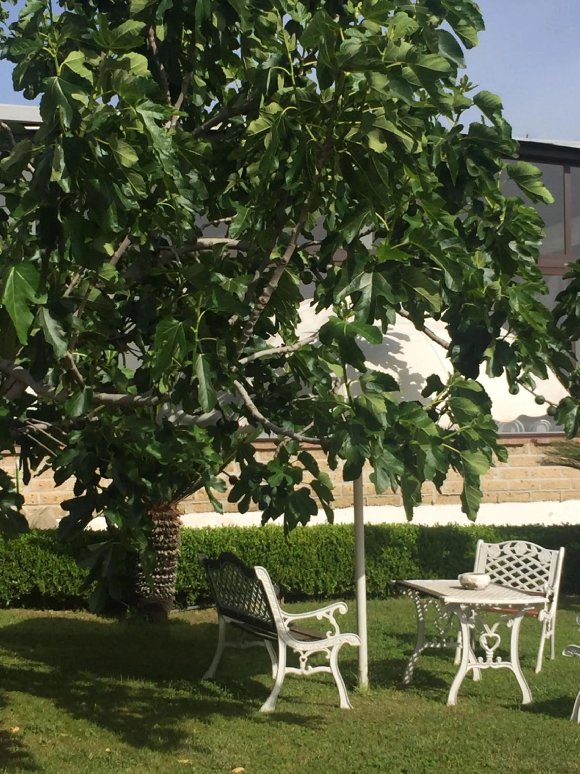 Other in Zia Bi Bed and Breakfast