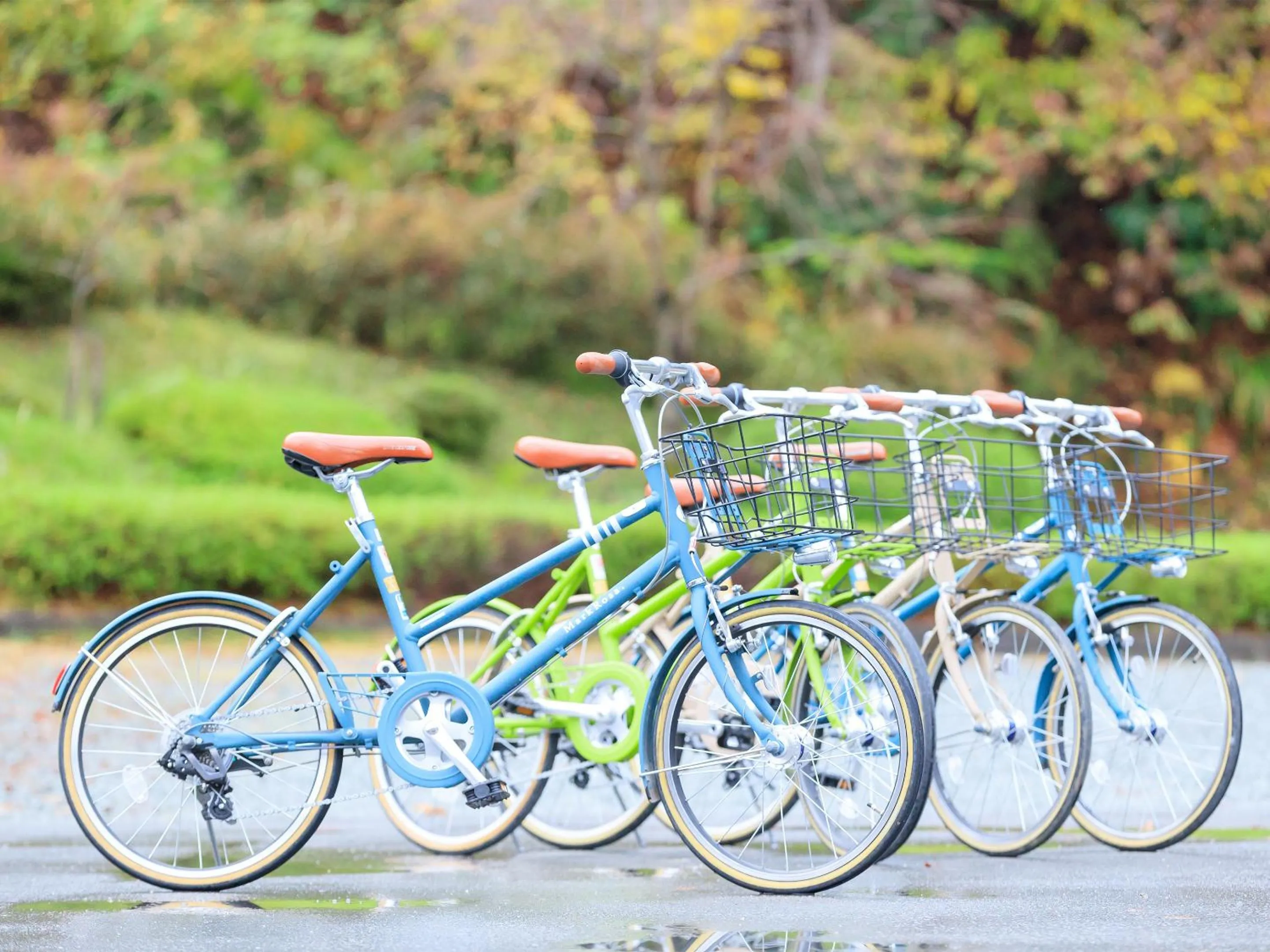 On site in Miyama Nature and Culture Village Kajikaso