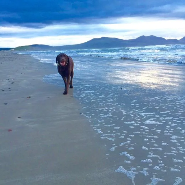 The Vagabond Bunkhouse