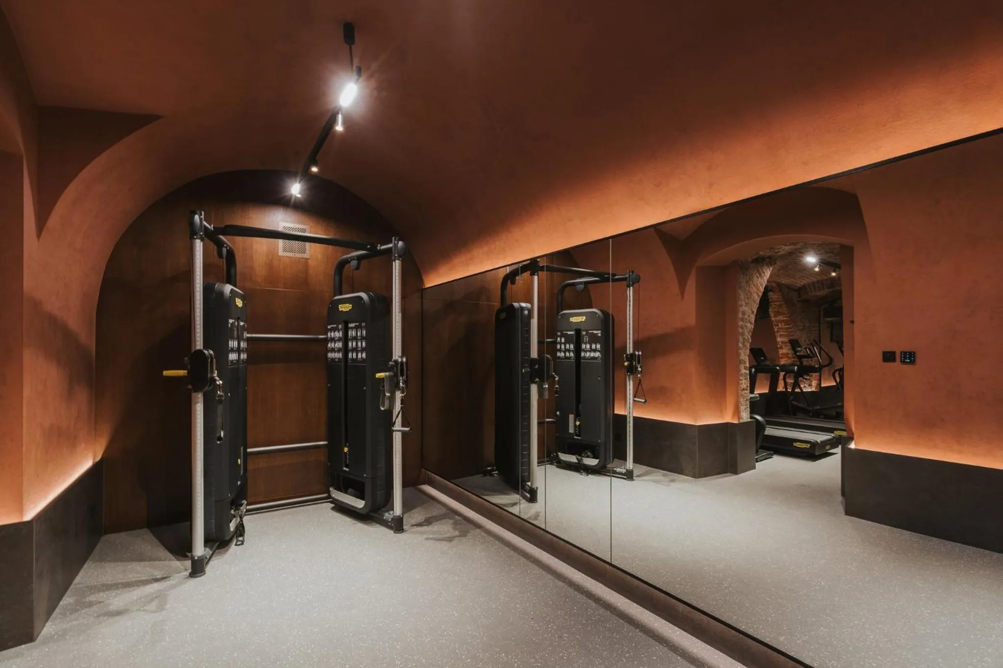 Fitness centre/facilities in Hotel Indigo Krakow - Wawel Castle by IHG