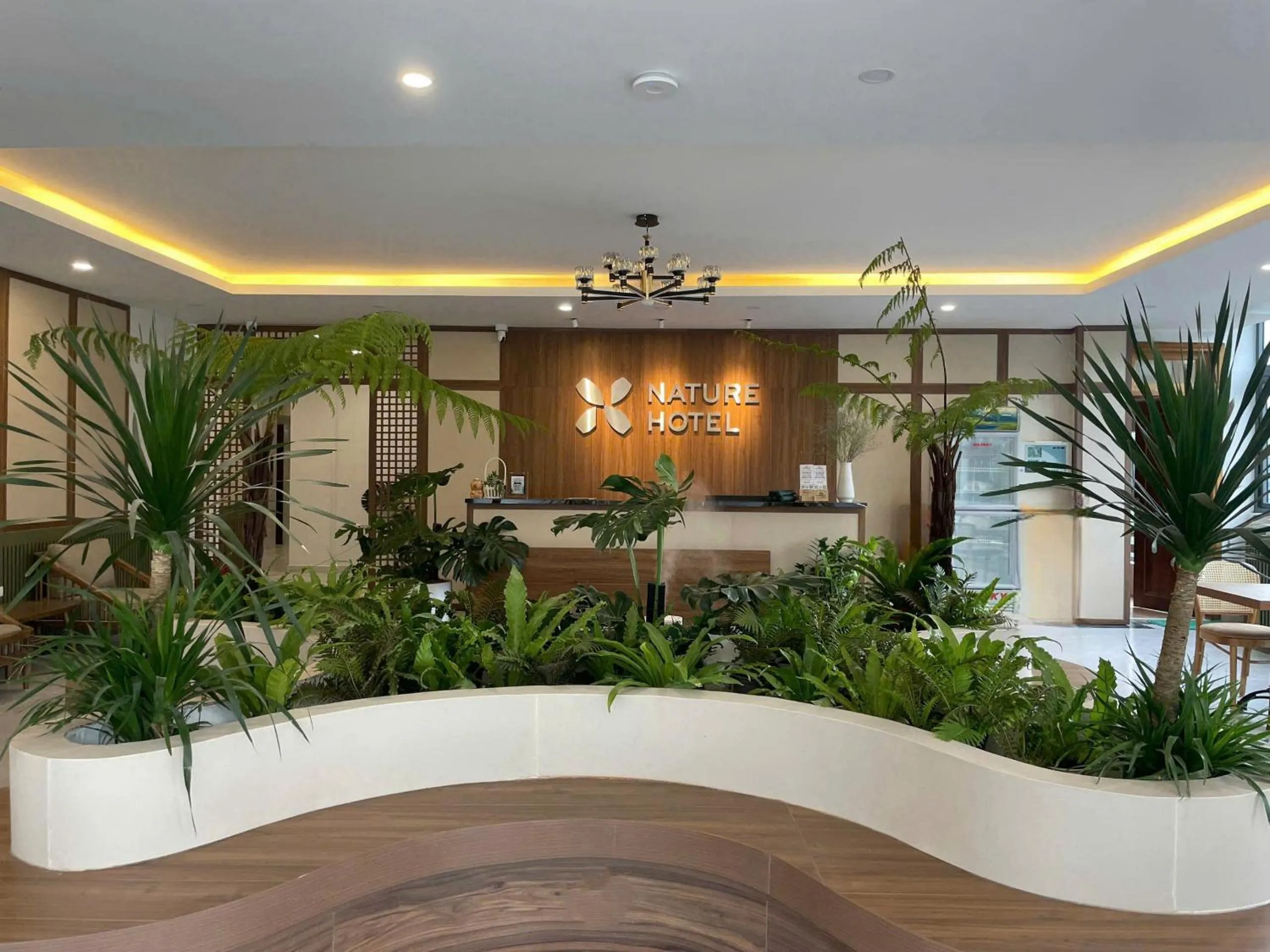 Lobby or reception in Nature Hotel - Le Hong Phong