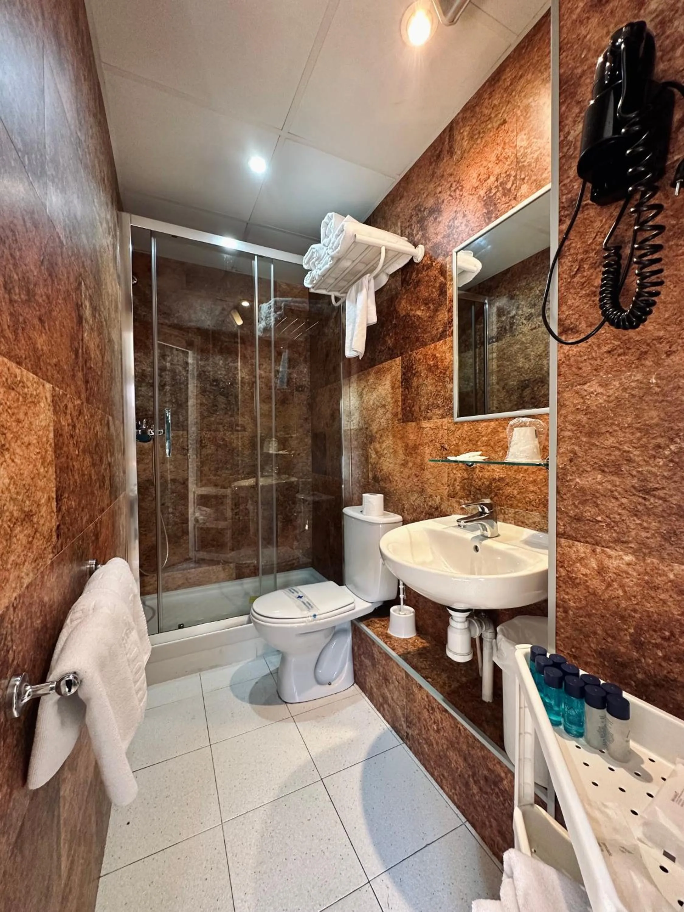 Shower in Hotel Merino