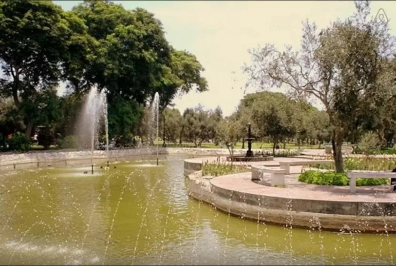 Day in B&B El Olivar