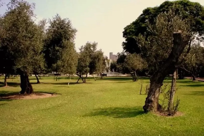 Day in B&B El Olivar