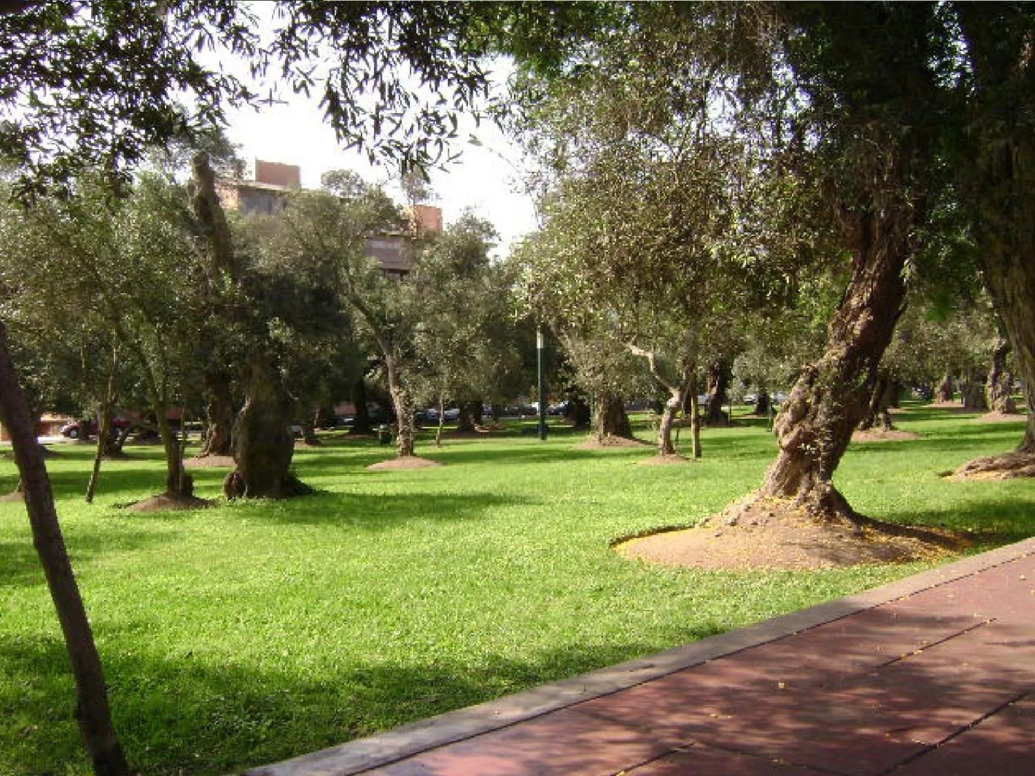 Day in B&B El Olivar