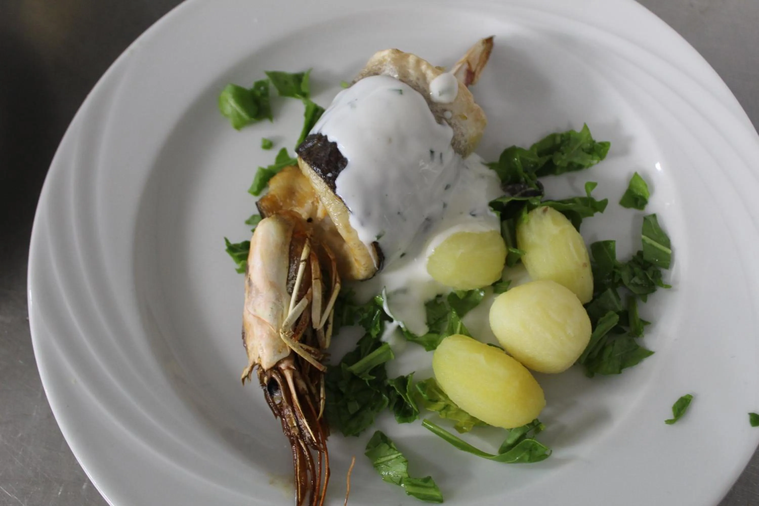 Food in Hotel Aurora Mare