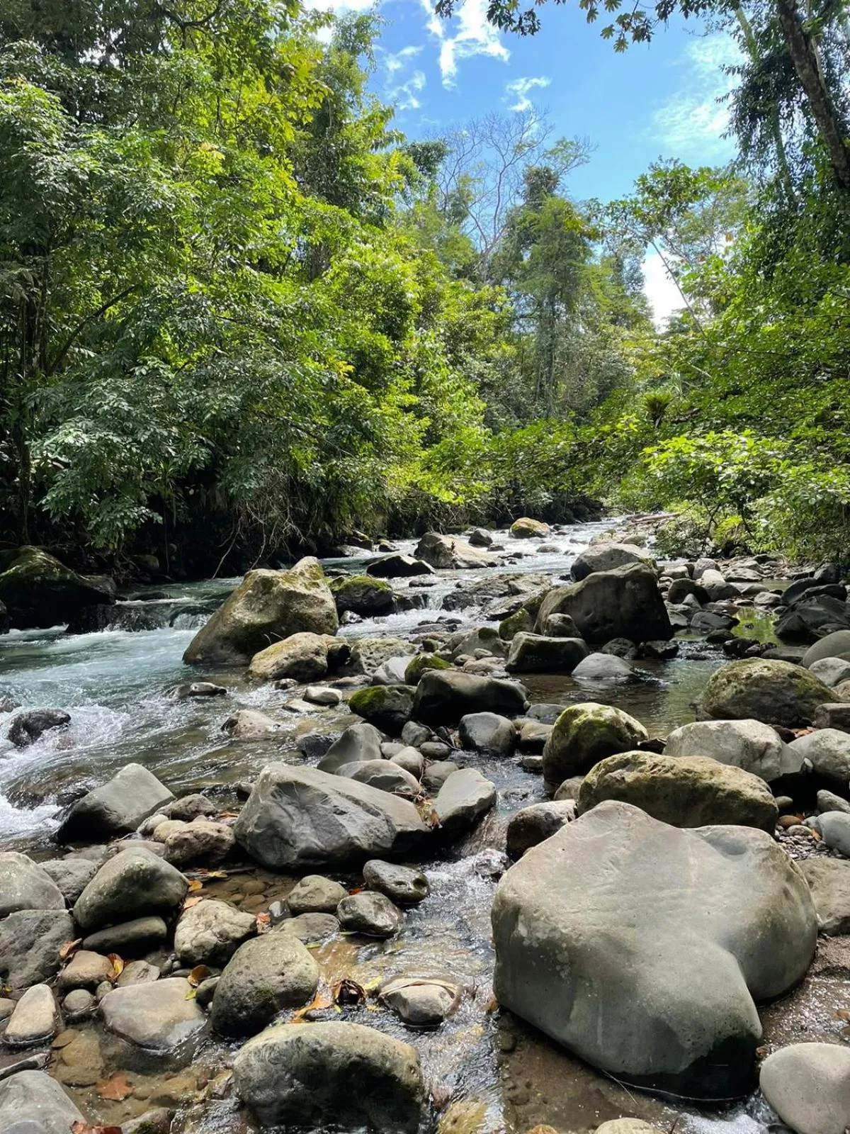 Natural landscape in Cabinas La Catarata