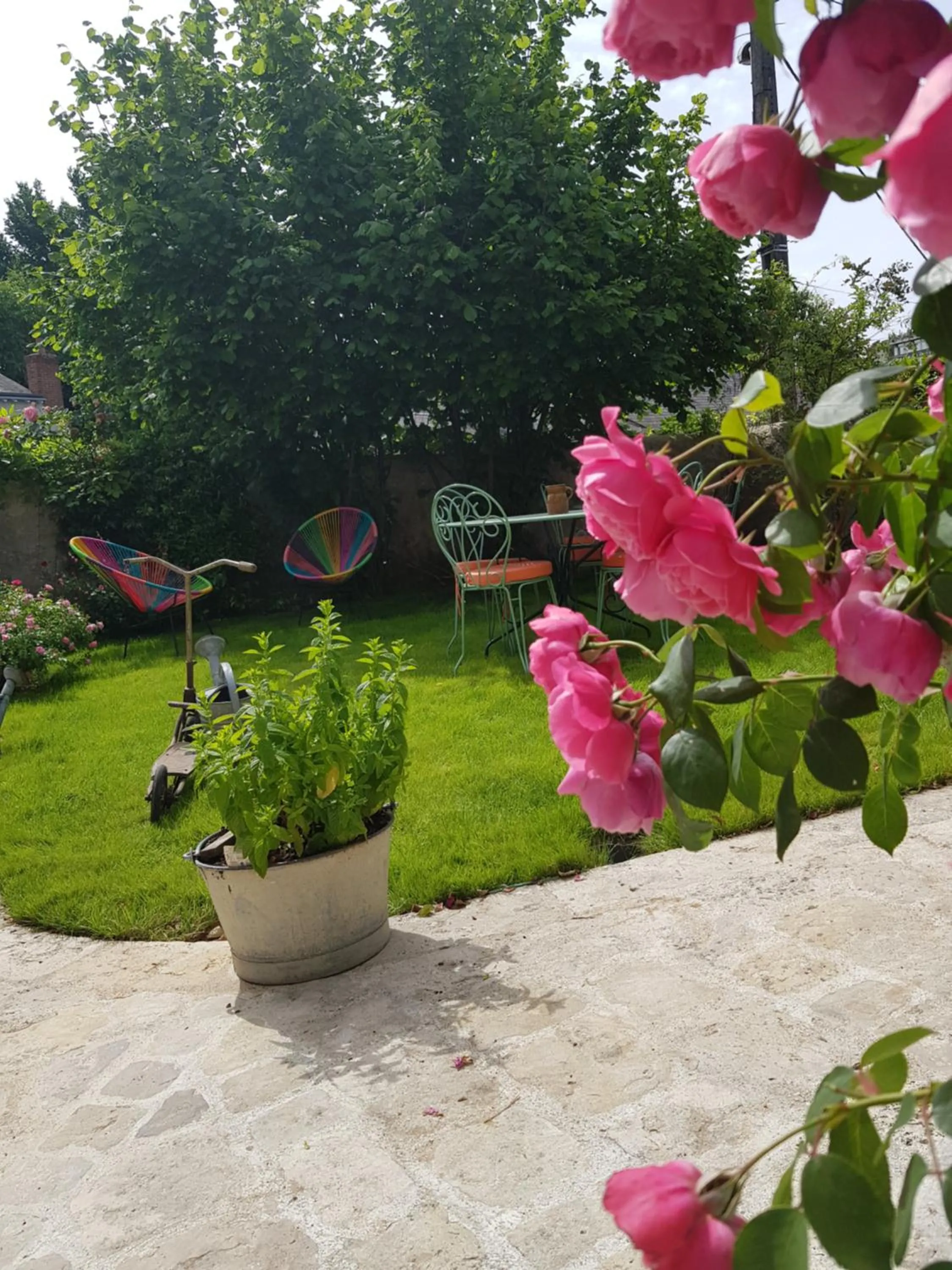 Garden in La Maison du Carroir