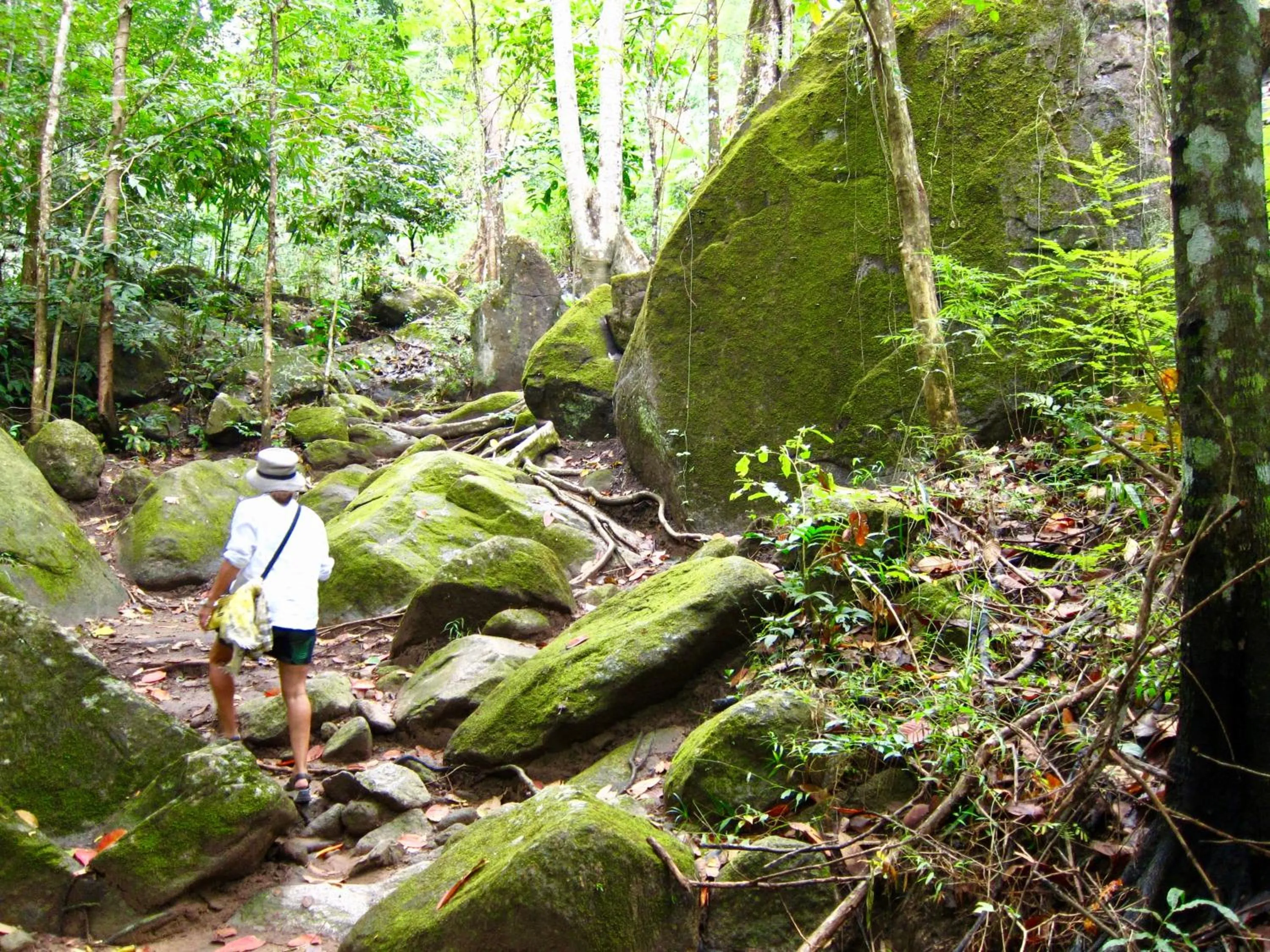 Hiking in Bambuh Boutique Homestay