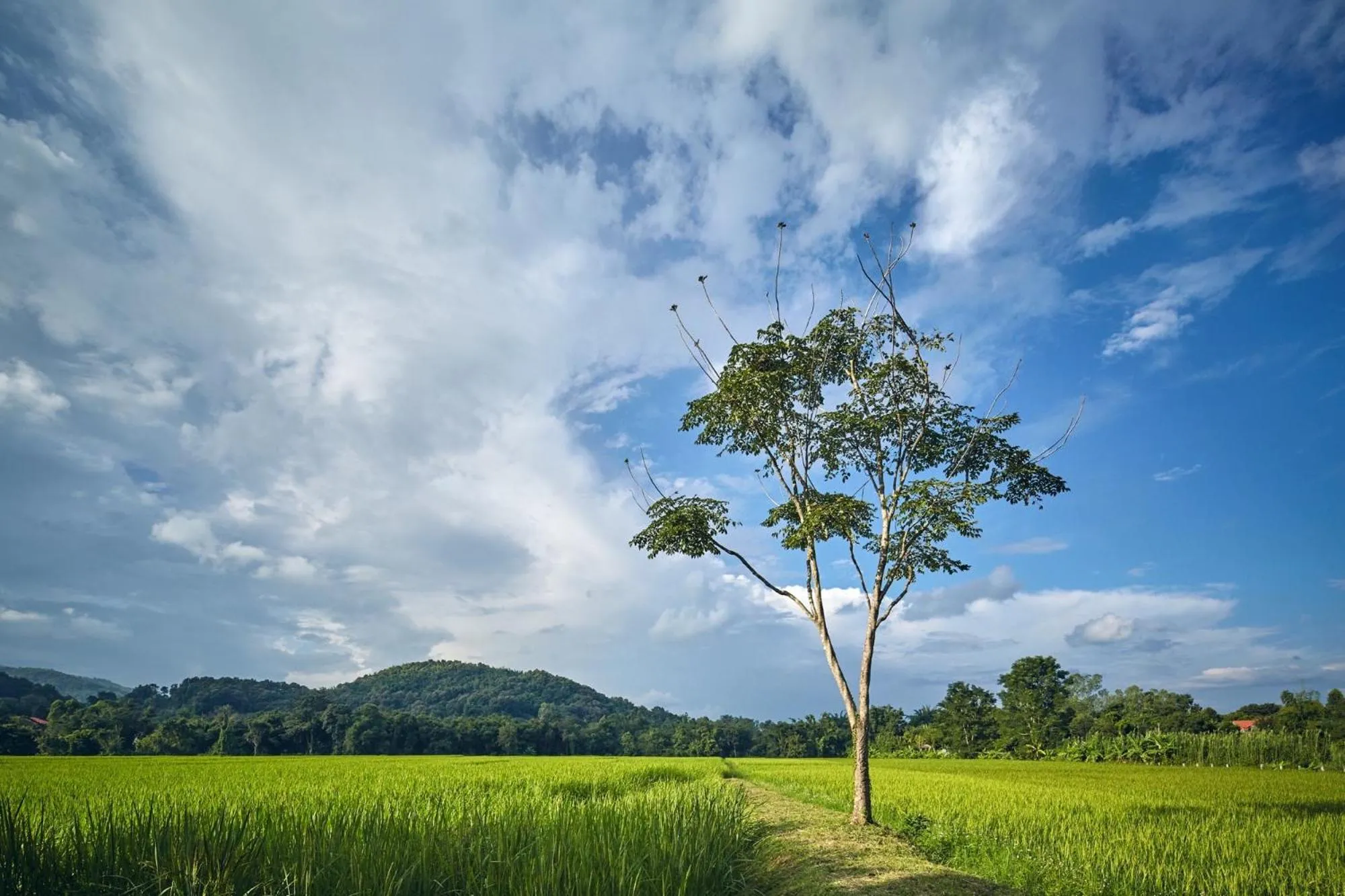 Off site in Bambuh Boutique Homestay