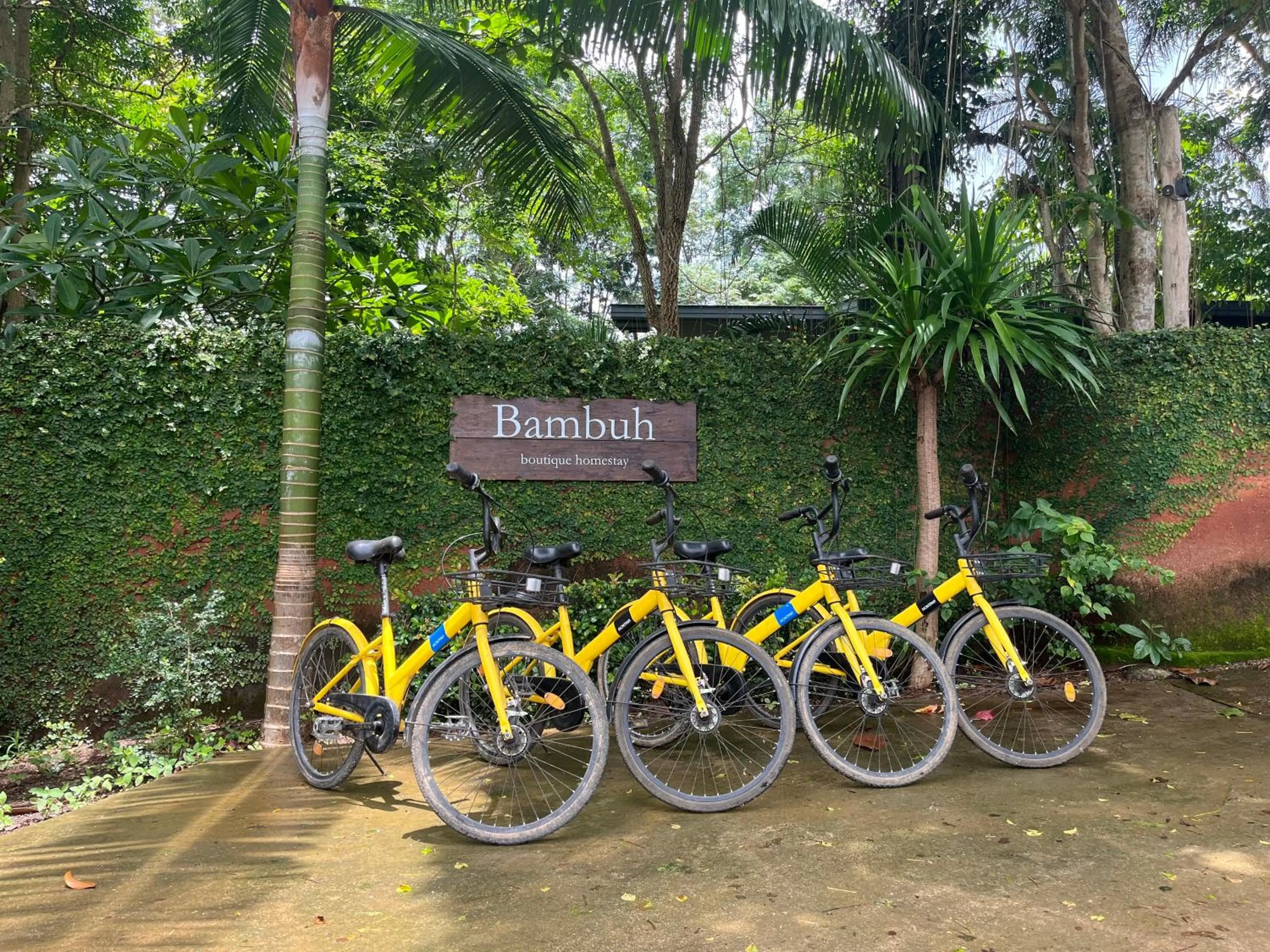 Cycling in Bambuh Boutique Homestay