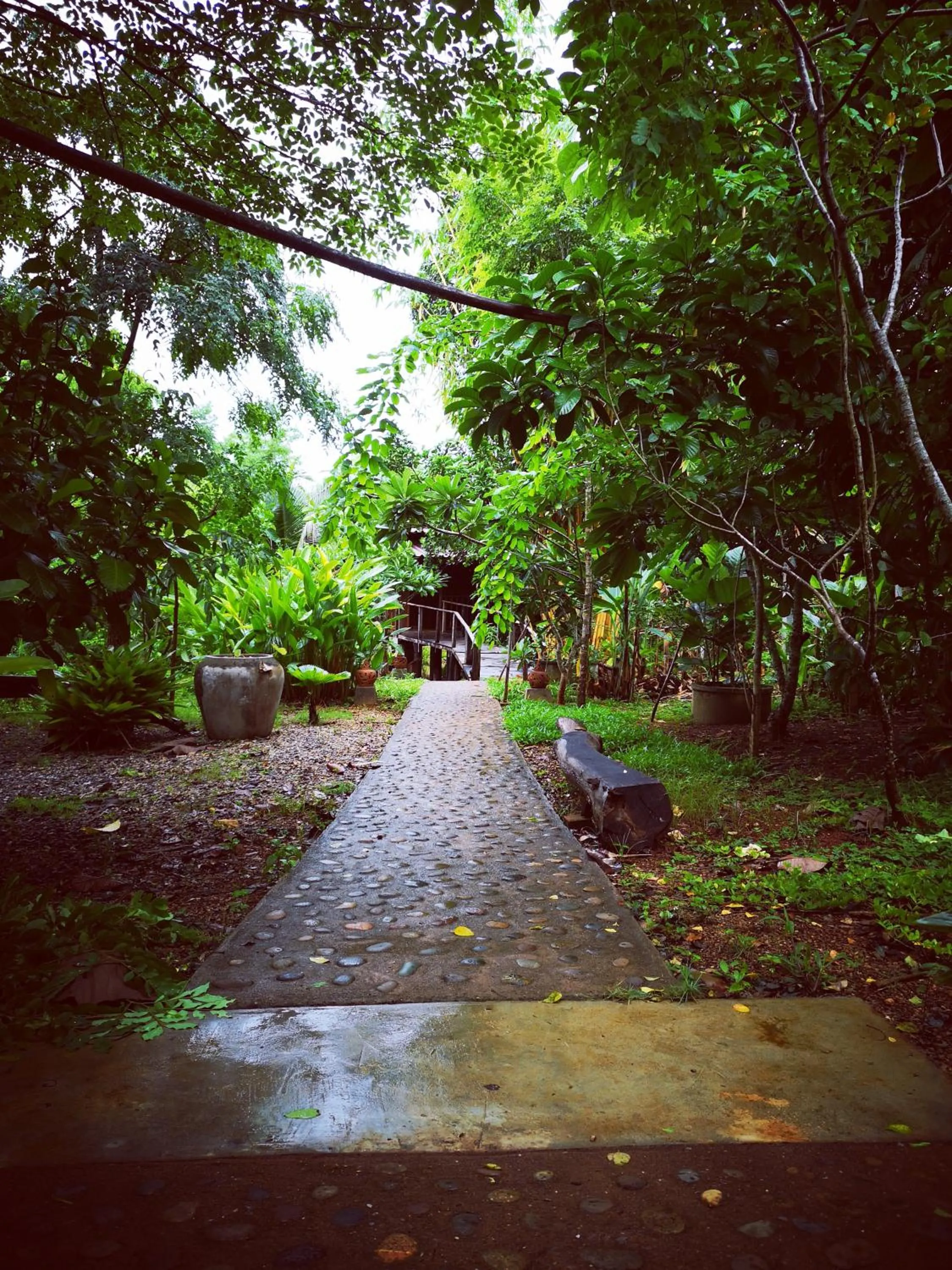 Garden in Bambuh Boutique Homestay