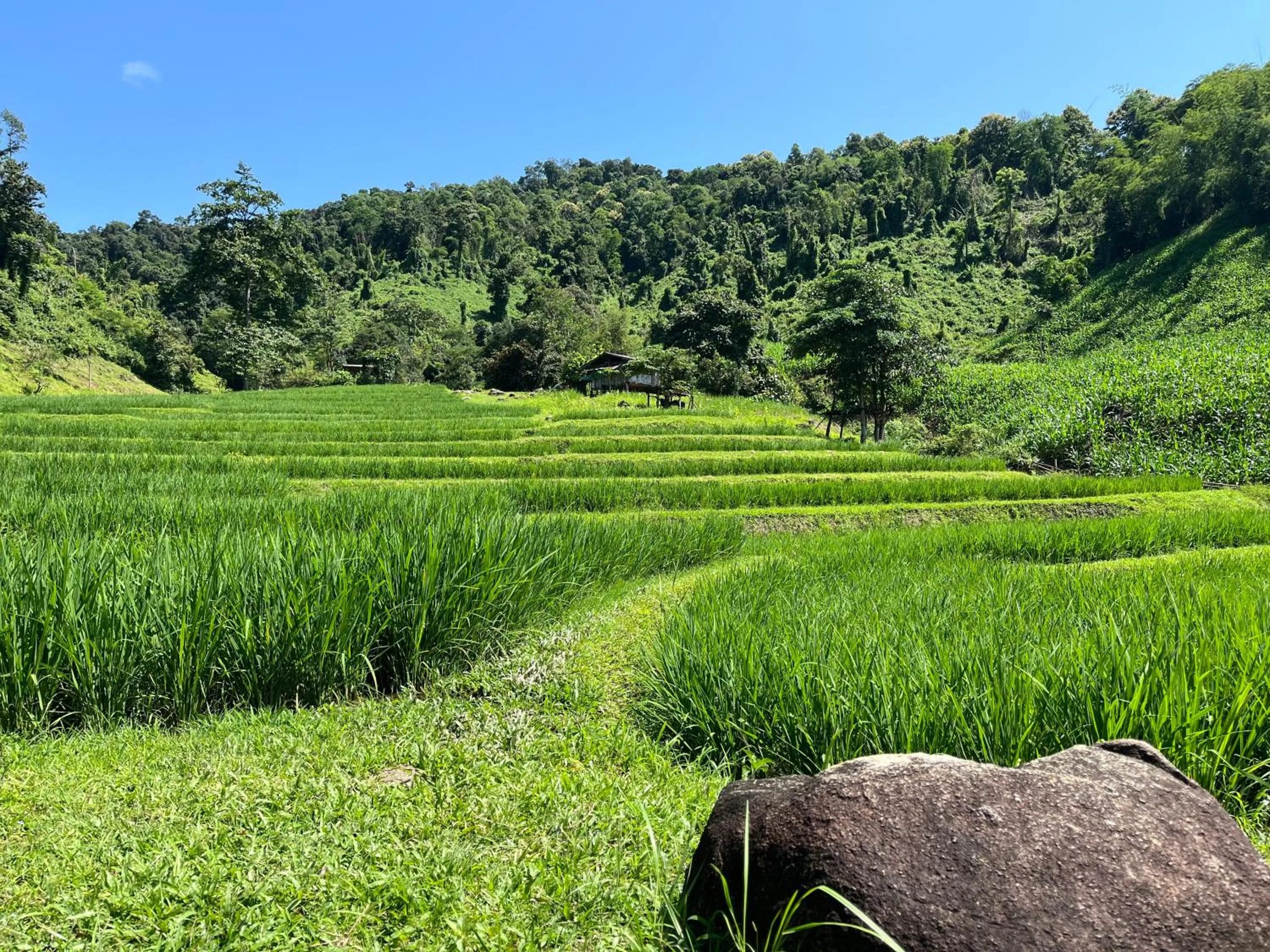 Nearby landmark in Bambuh Boutique Homestay