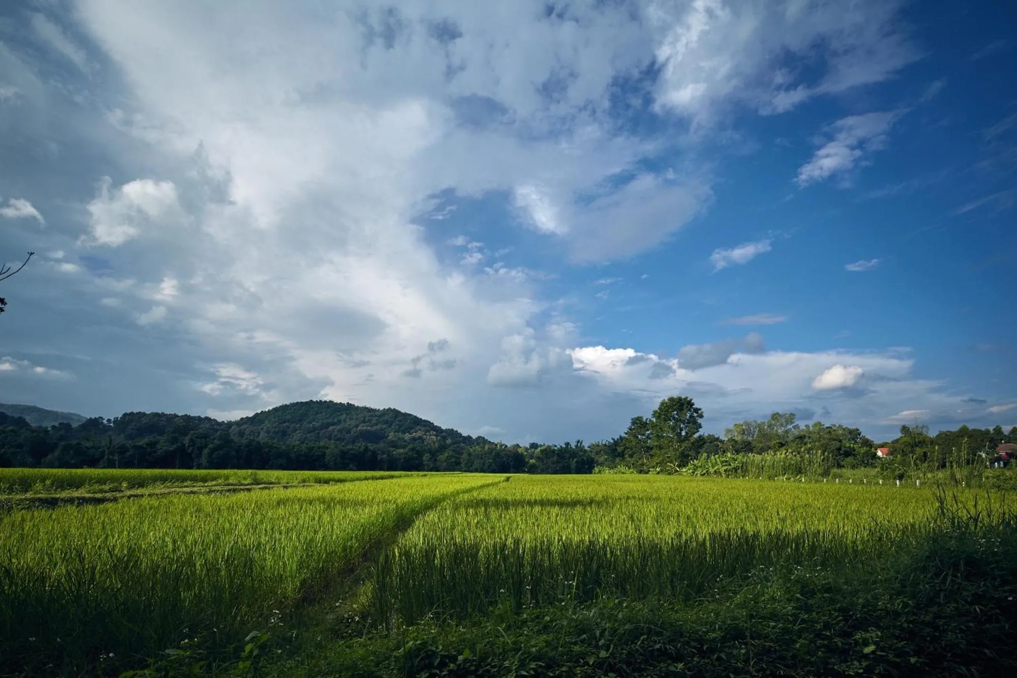 Off site in Bambuh Boutique Homestay