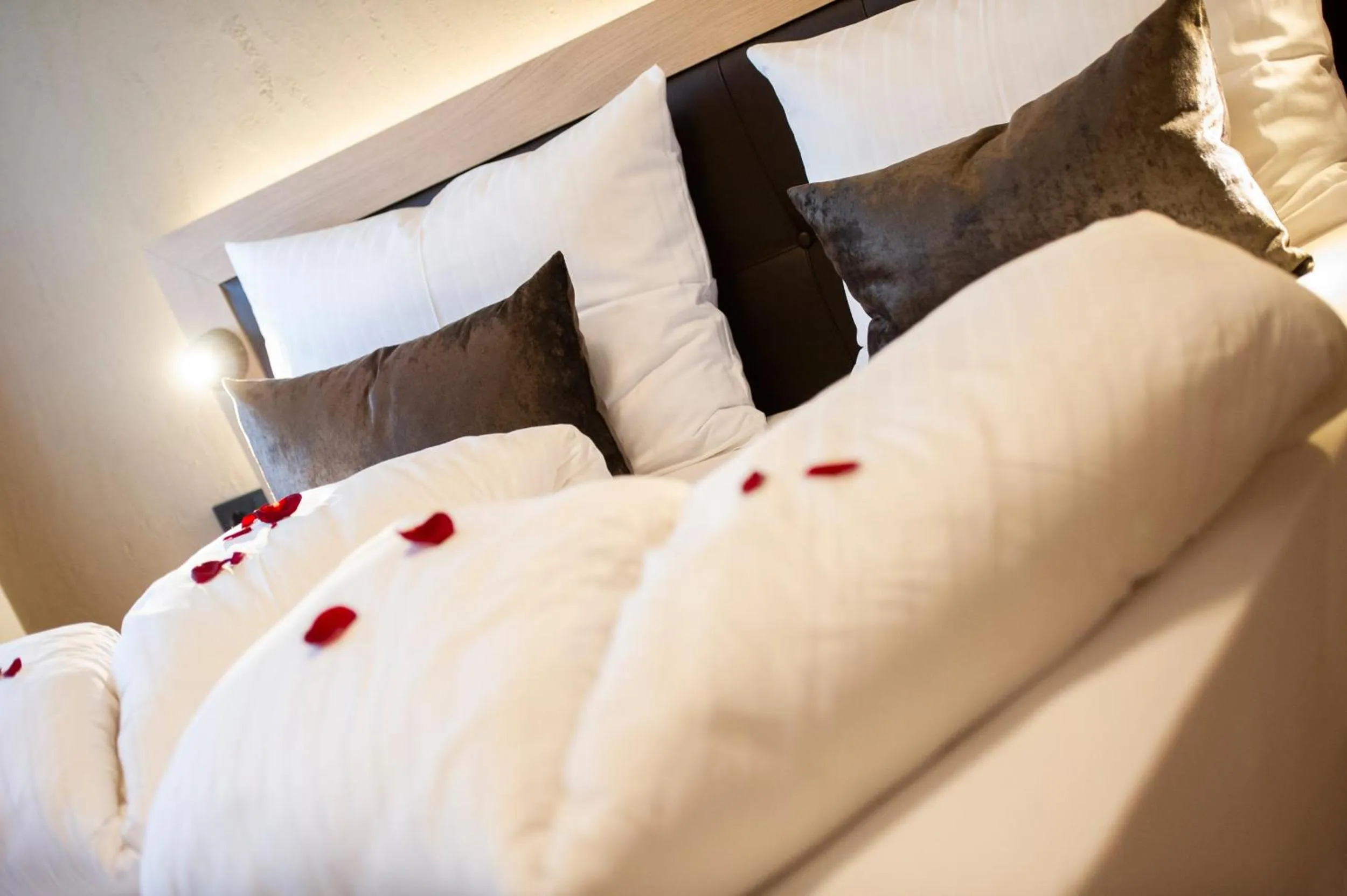 Bed in Haus Gregori Modern & Central Stay in Vineyard with Rooftop & Served Breakfast