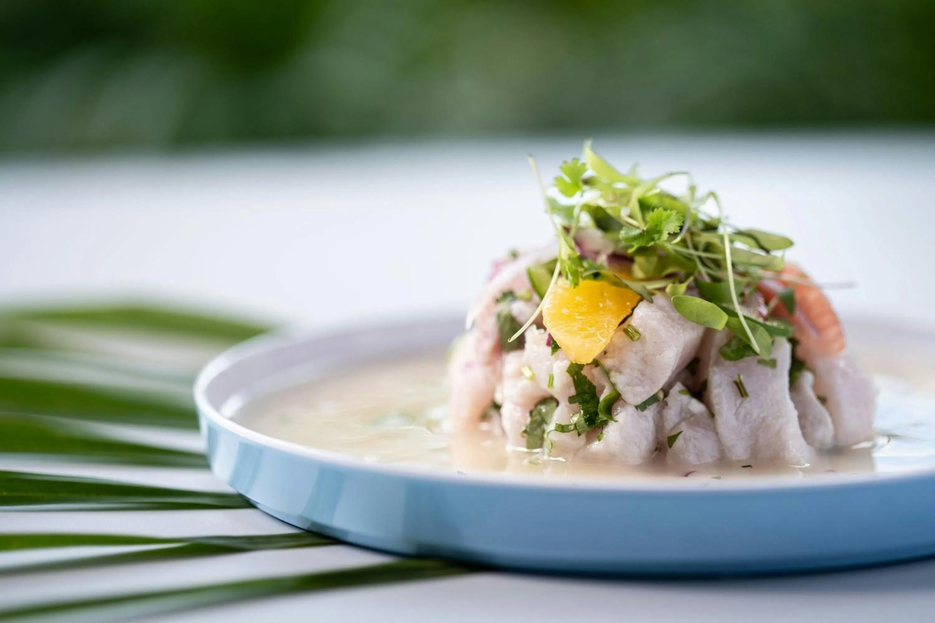 Restaurant/places to eat in The Belgrove Resort & Spa, West Palm Beach, Autograph Collection